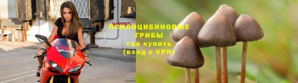 ALPHA-PVP Аркадак