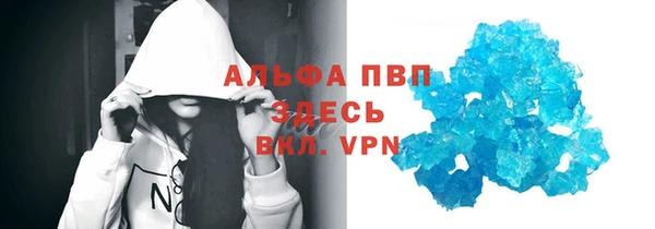 крисы Тында