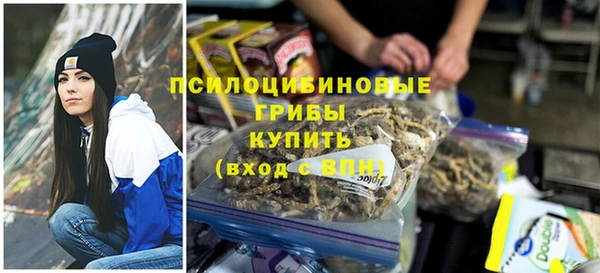 сатива Алзамай