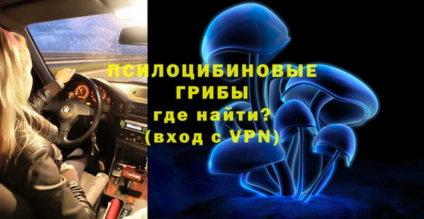 ECSTASY Туринск