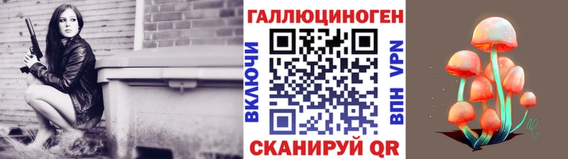 Галлюциногенные грибы Psilocybine cubensis Берёзовка
