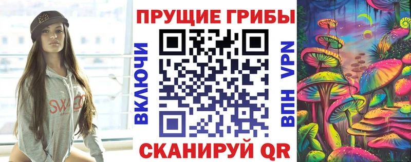 наркотики  mega сайт  Псилоцибиновые грибы MAGIC MUSHROOMS  Берёзовка 
